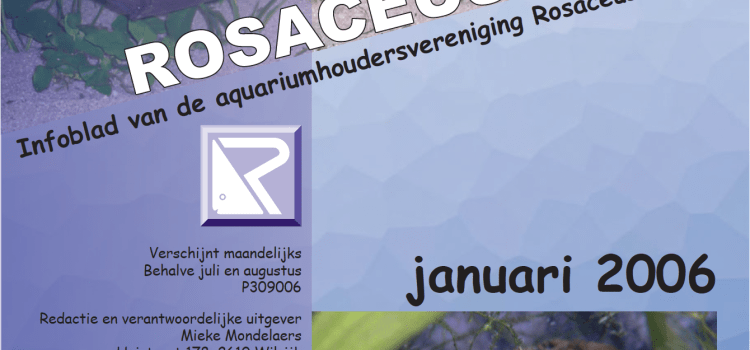 Rosaceus Info Januari 2006