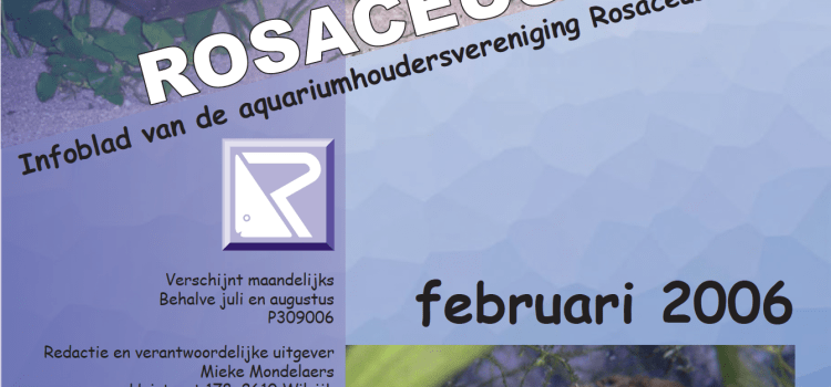 Rosaceus Info Februari 2006
