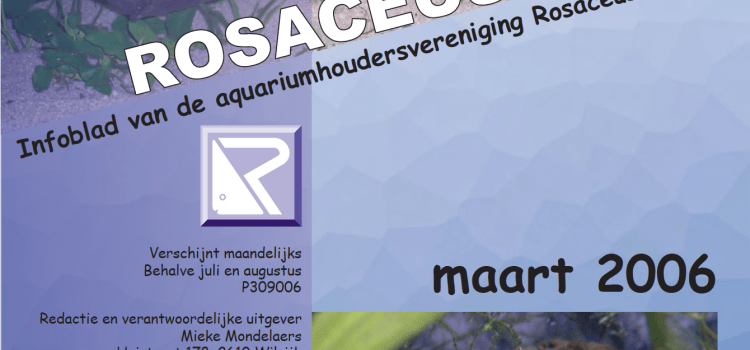 Rosaceus Info Maart 2006