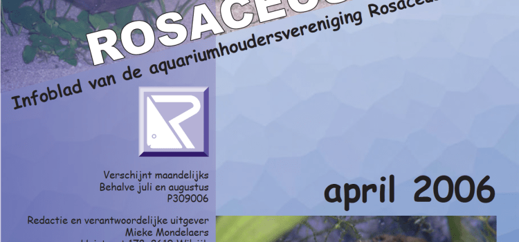 Rosaceus Info April 2006
