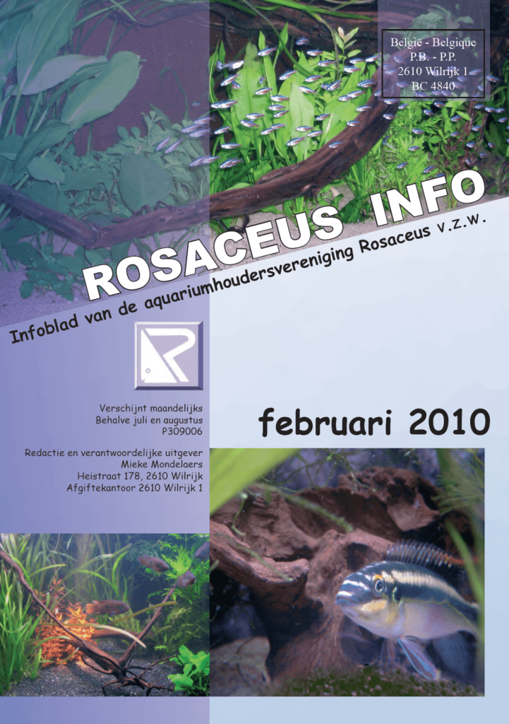 Rosaceus Info Februari 2010