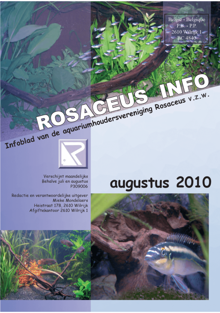 Rosaceus Info Augustus 2010