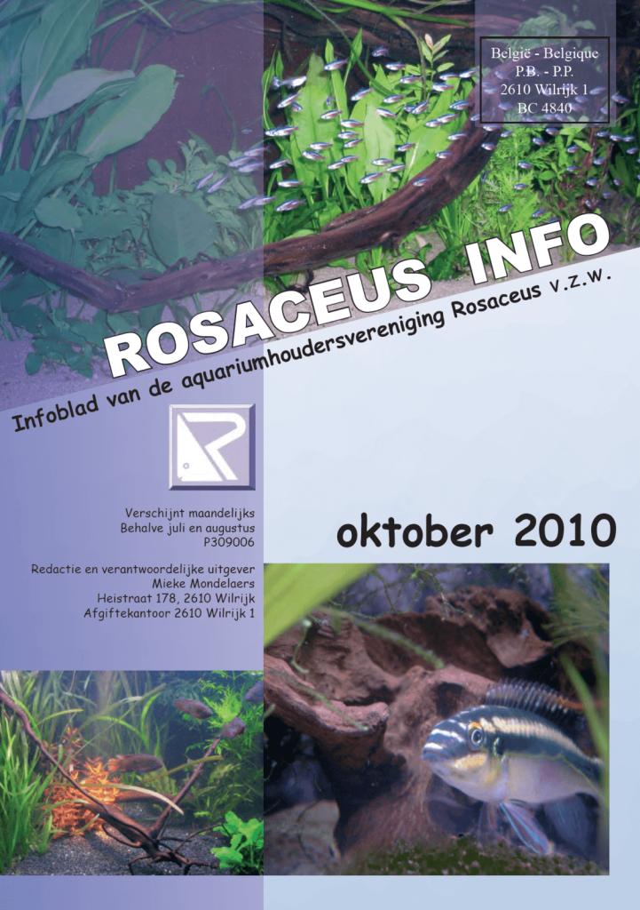 Rosaceus Info Oktober 2010
