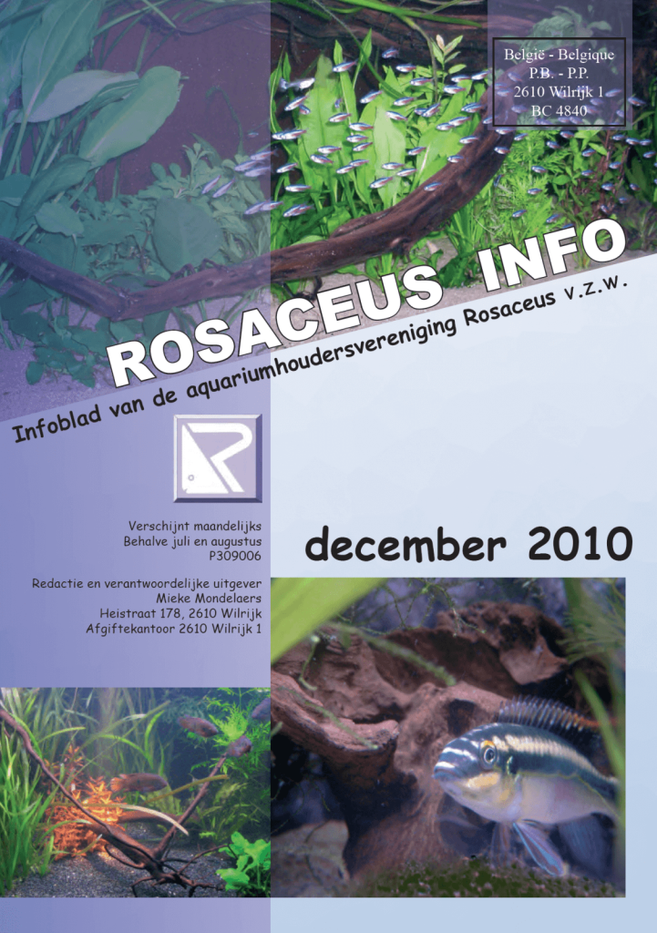 Rosaceus Info December 2010