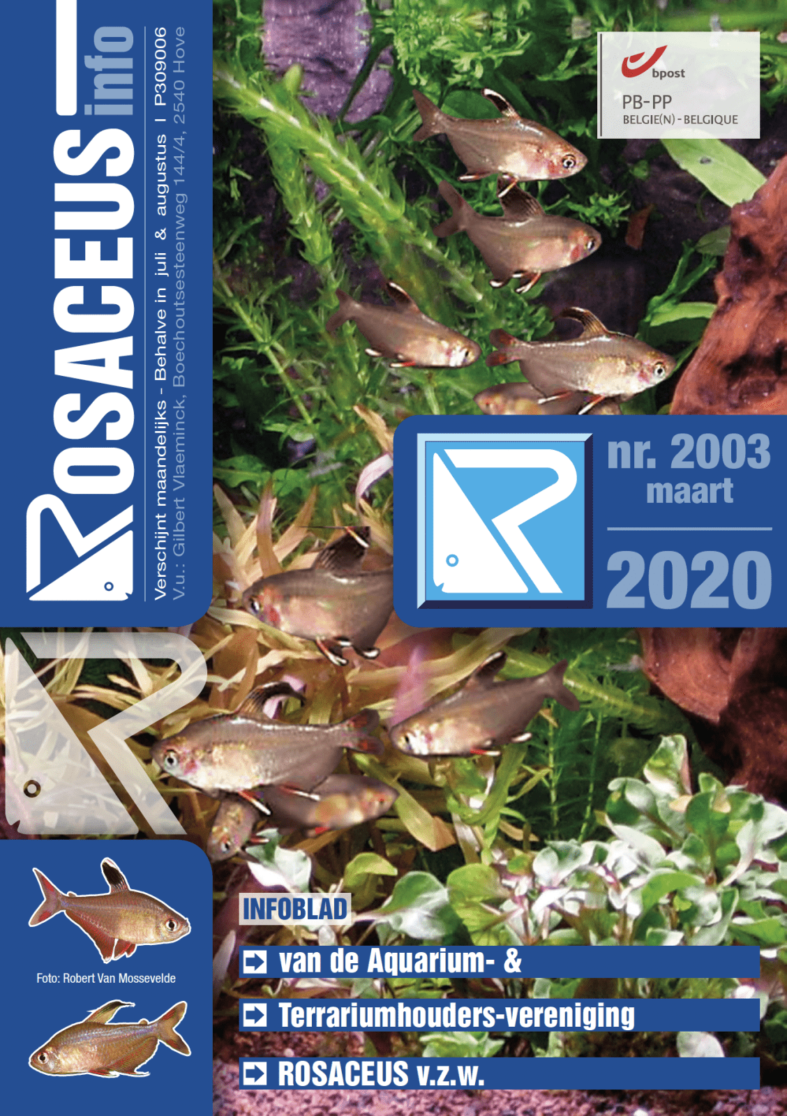 Rosaceus Info Maart 2020