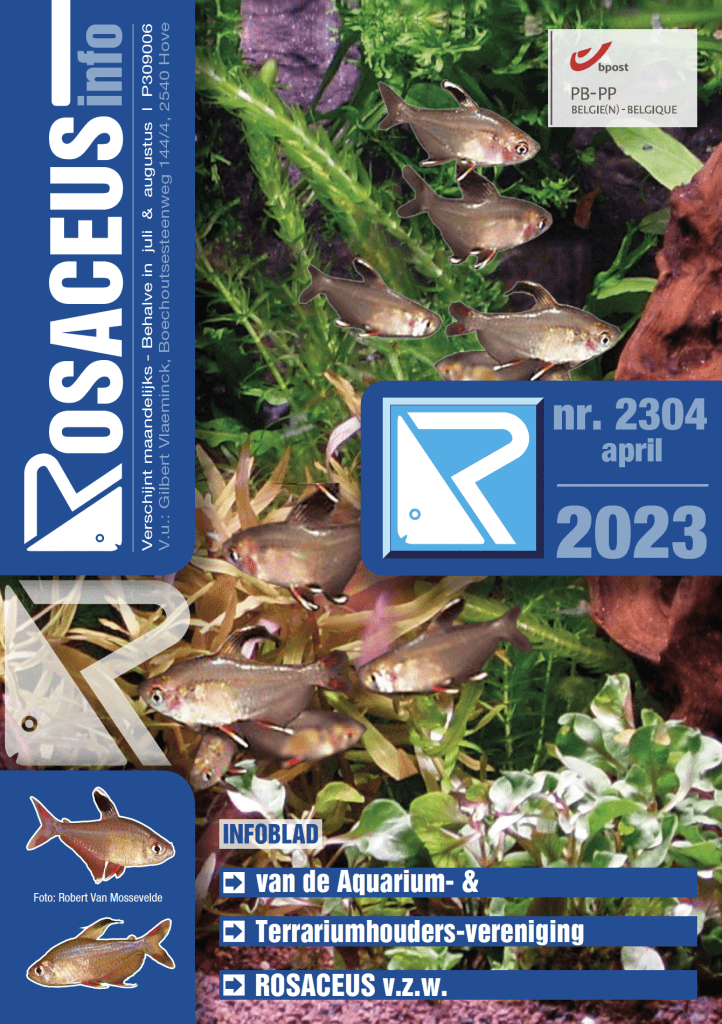 Rosaceus Info April 2023