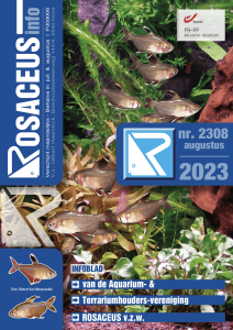 Rosaceus Info Augustus 2023