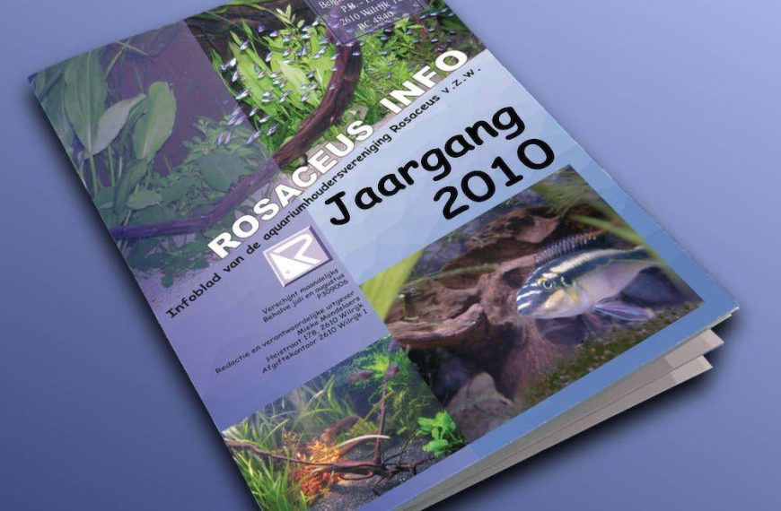 Rosaceus Info Jaargang 2010