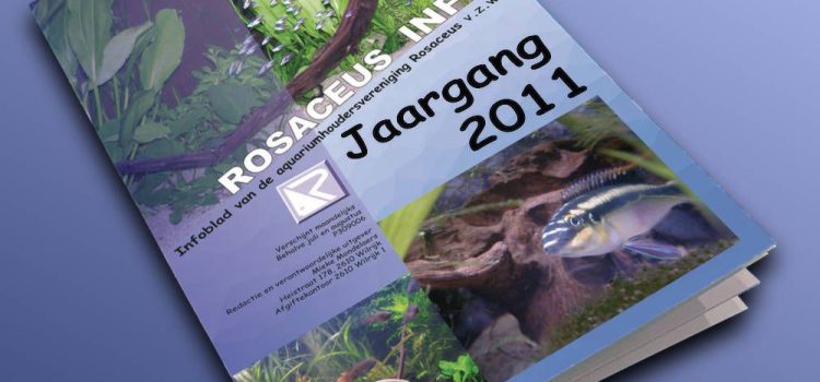 Rosaceus Info Jaargang 2011