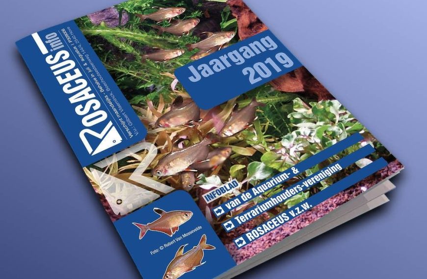 Rosaceus Info Jaargang 2019