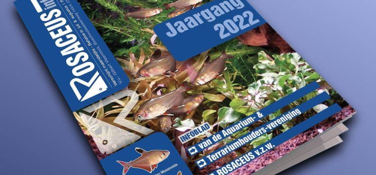 Rosaceus Info Jaargang 2022