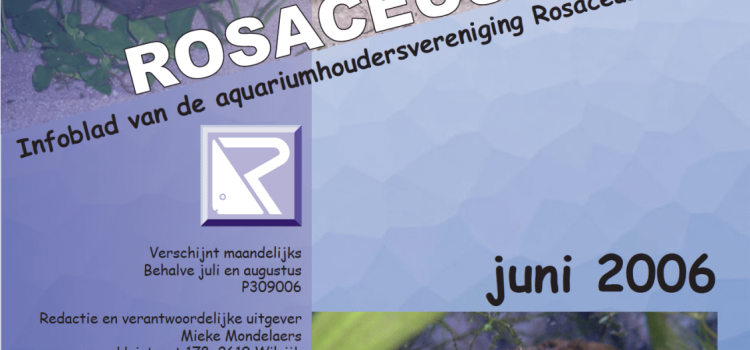 Rosaceus Info Juni 2006