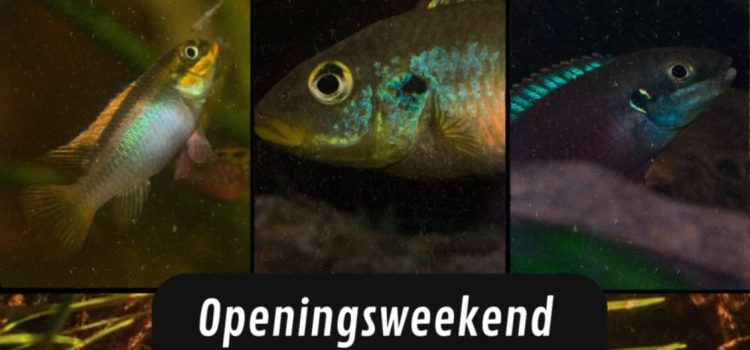 Nieuwe winkelopening: Rivercatch door Mathias Cras