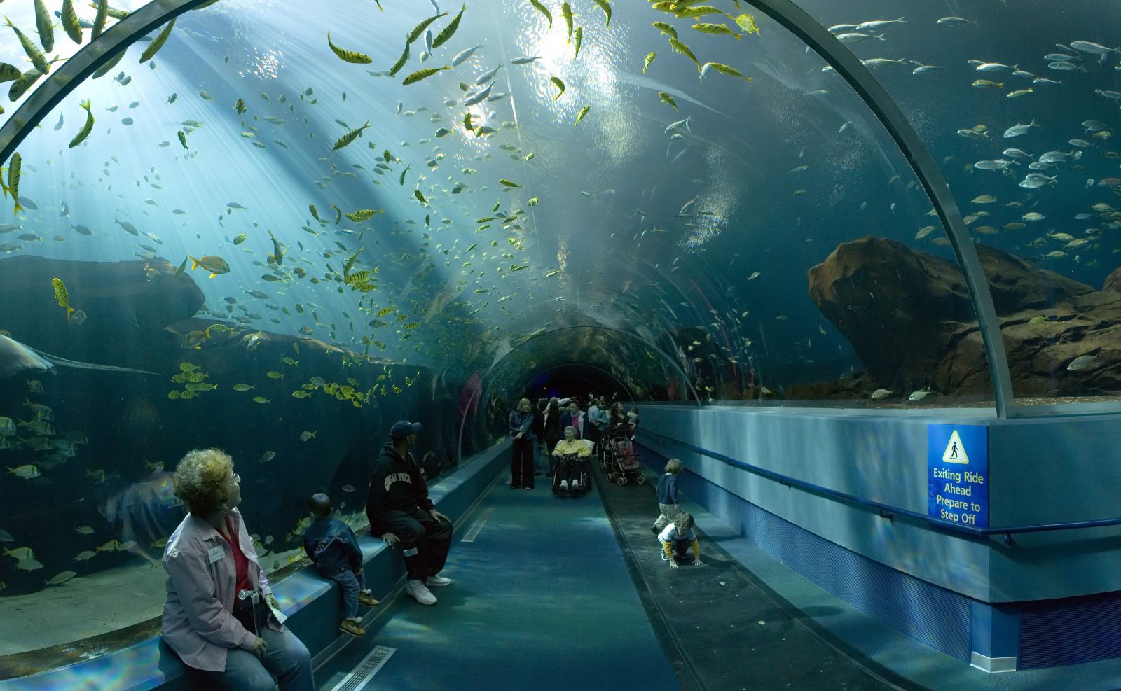 Bezoekers wandelen door een lange glazen tunnel van een groot publieksaquarium, met scholen vissen die boven en naast hen voorbijzwemmen.