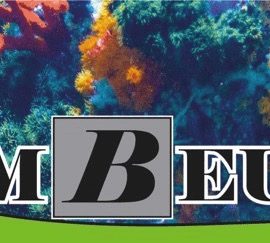 Affiche van de Limbeurs 2026, de aquarium-, terrarium- en vijverbeurs in Diest
