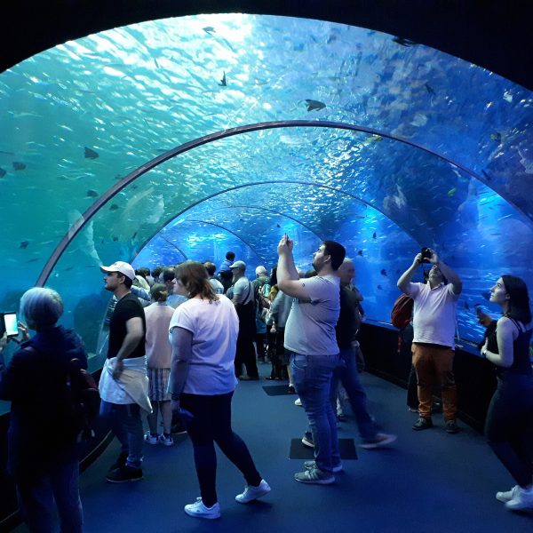 Bezoekers wandelen door de glazen onderwatertunnel van het Nausicaá-aquarium in Boulogne-sur-Mer en kijken omhoog naar de vissen boven hen.