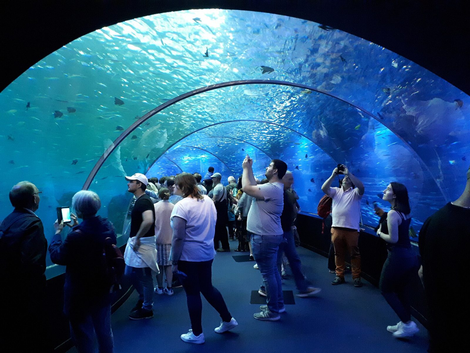 Bezoekers wandelen door de glazen onderwatertunnel van het Nausicaá-aquarium in Boulogne-sur-Mer en kijken omhoog naar de vissen boven hen.