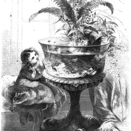 „Der See im Glase", houtgravure bij Roßmäßlers beroemde artikel in Die Gartenlaube (1856), het startschot van de Duitse aquaristiek