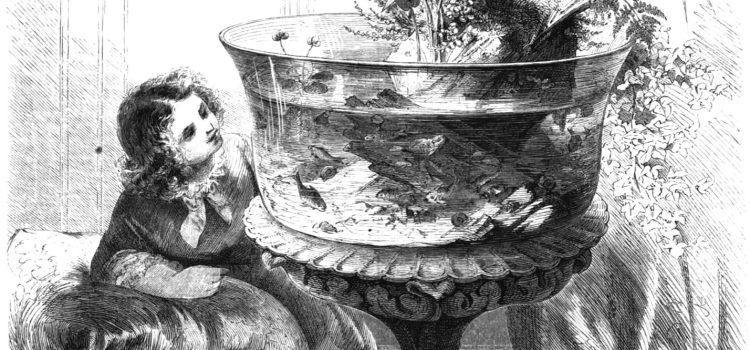 De Duitse motor „Der See im Glase", houtgravure bij Roßmäßlers beroemde artikel in Die Gartenlaube (1856), het startschot van de Duitse aquaristiek