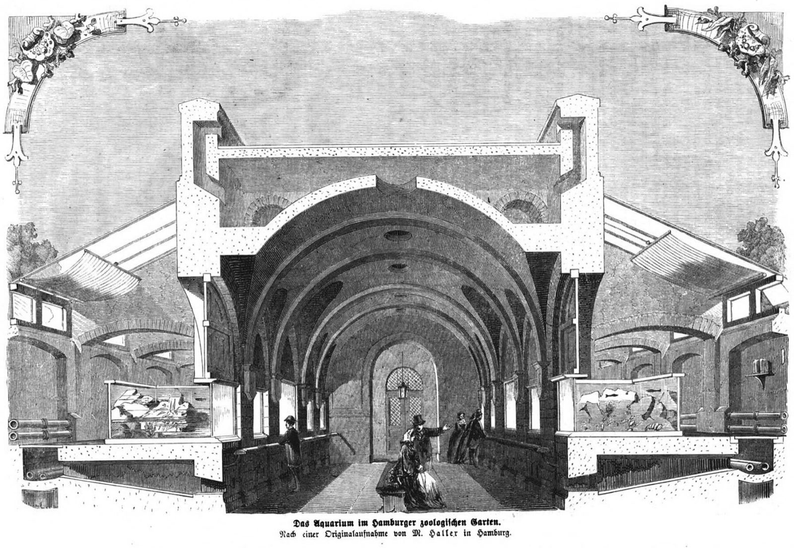 Het aquarium van de Hamburgse zoo, gravure naar M. Haller in Die Gartenlaube (1865): de jonge Duitse aquariumcultuur bouwde meteen instituten