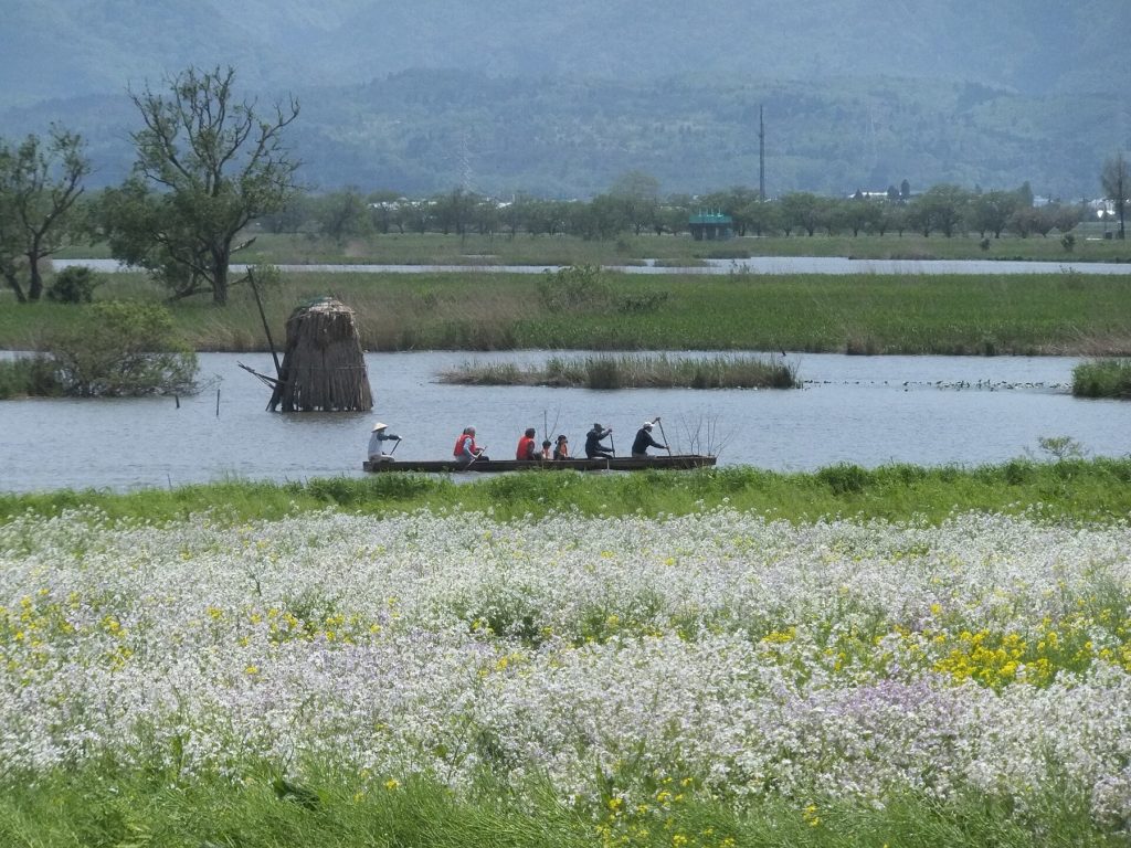 De fotograaf van Niigata