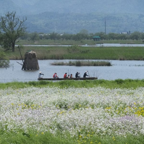De fotograaf van Niigata