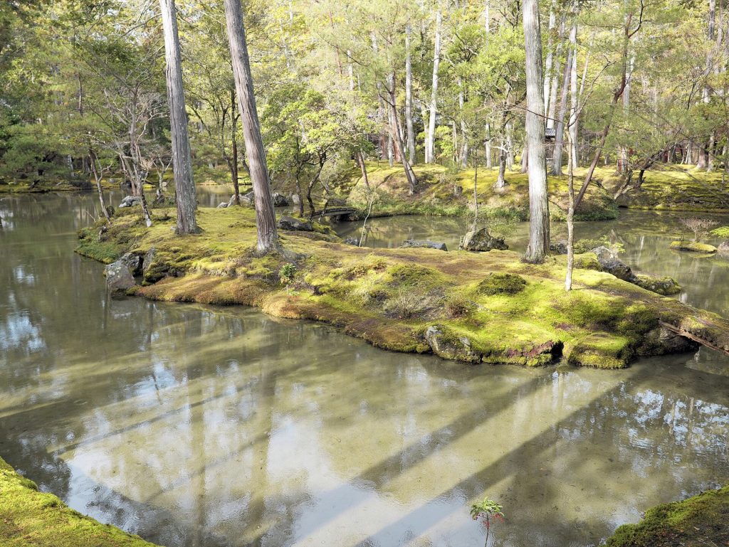 Wabi-sabi onder water