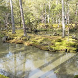 De mostuin van Saihō-ji (Kokedera) met spiegelende vijver, Kyoto