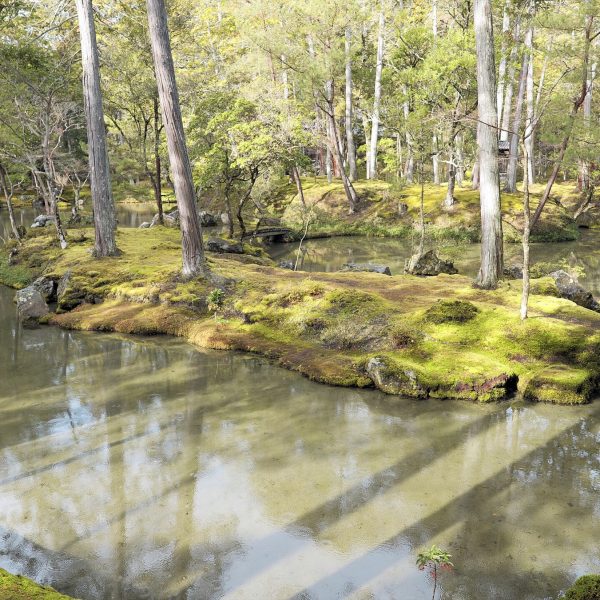 Wabi-sabi onder water