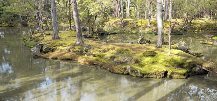 Wabi-sabi onder water De mostuin van Saihō-ji (Kokedera) met spiegelende vijver, Kyoto
