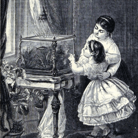 Twee Victoriaanse kinderen bewonderen het huisaquarium op tafelvoet, gravure uit het weekblad Weekly Welcome (1879)