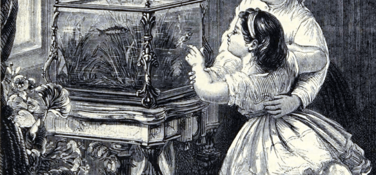 Twee Victoriaanse kinderen bewonderen het huisaquarium op tafelvoet, gravure uit het weekblad Weekly Welcome (1879)