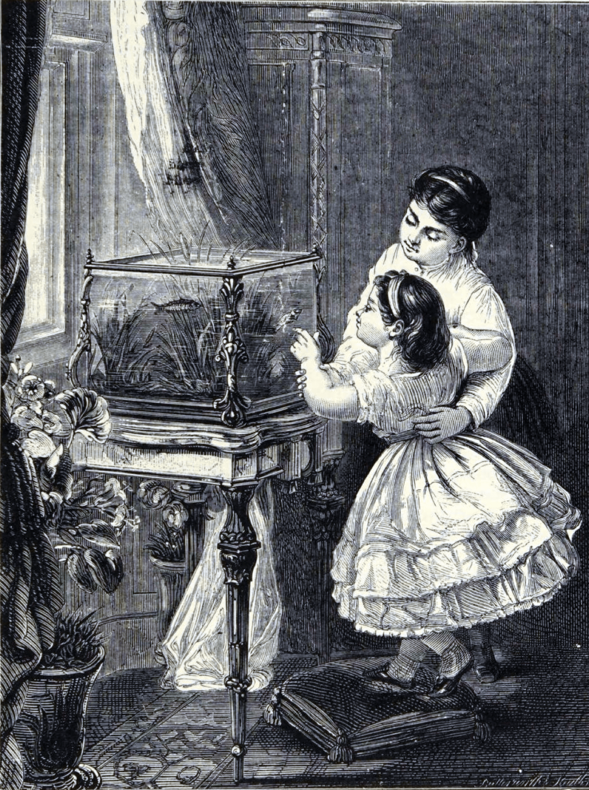 Twee Victoriaanse kinderen bewonderen het huisaquarium op tafelvoet, gravure uit het weekblad Weekly Welcome (1879)