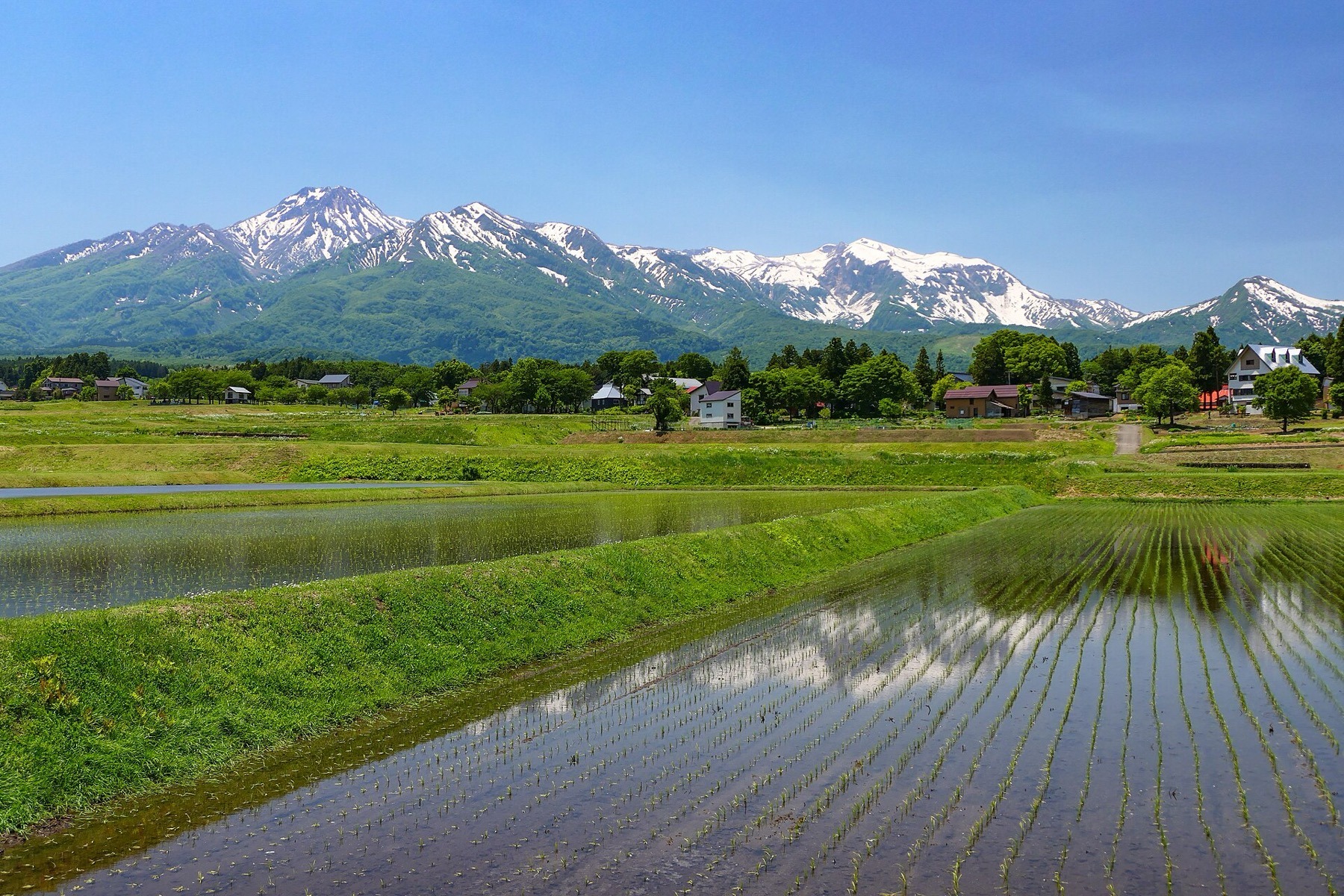 Ondergelopen rijstvelden en het besneeuwde Kubiki-gebergte bij Jōetsu: het waterland van Niigata waarin Amano opgroeide
