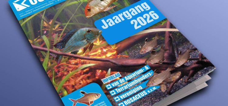 Rosaceus Info Jaargang 2026