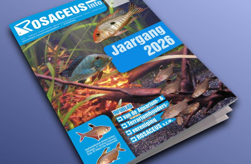 Rosaceus Info Jaargang 2026