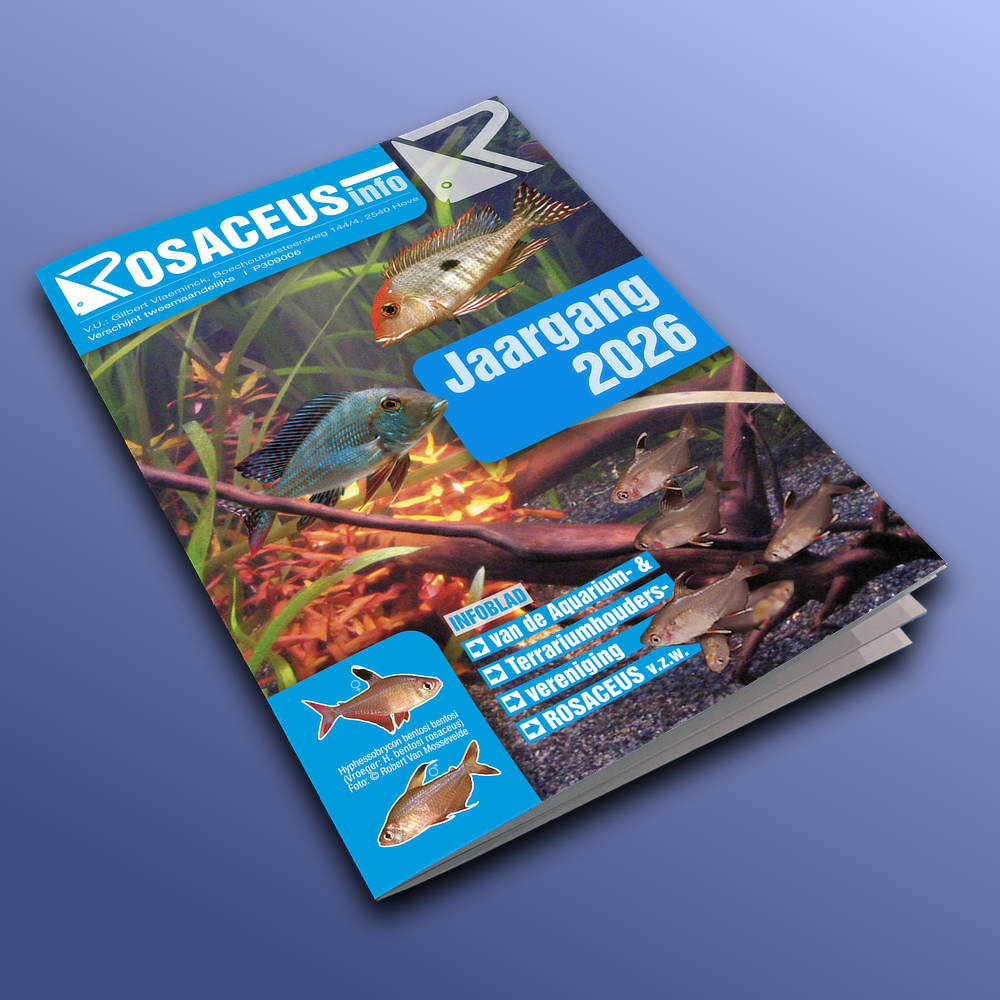 Rosaceus Info Jaargang 2026