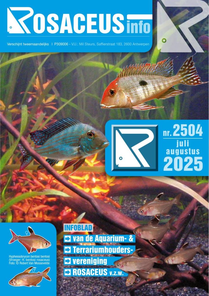 Rosaceus Info Juli Augustus 2025