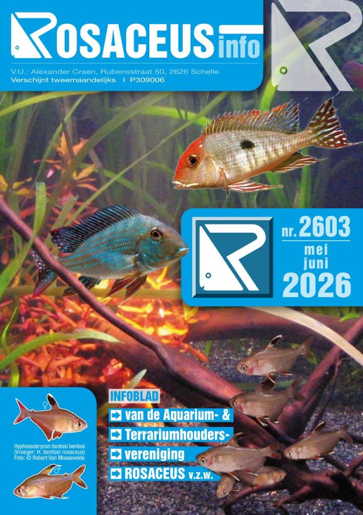 Rosaceus Info Mei Juni 2026