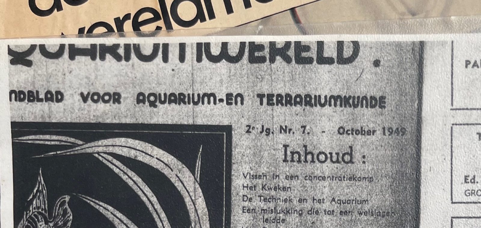 De kop van Aquariumwereld, tweede jaargang nummer 7, oktober 1949.