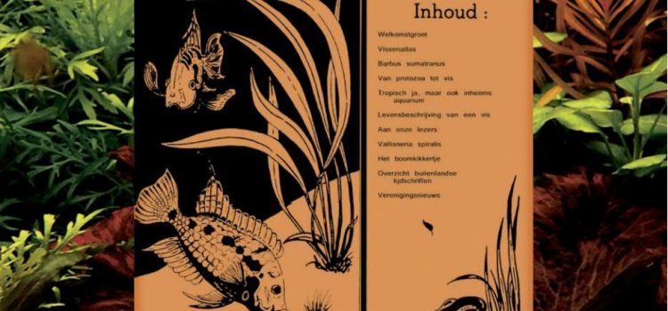 De jubileumcover van Aquariumwereld van januari 2022, met daarop het allereerste nummer van het V.A.A.T.V.-maandblad uit april 1948.