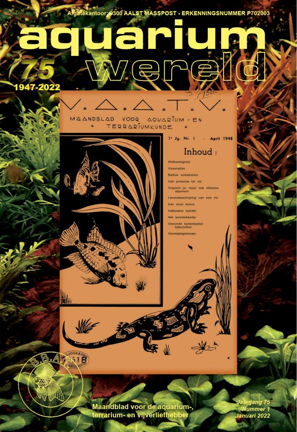 De jubileumcover van Aquariumwereld van januari 2022, met daarop het allereerste nummer van het V.A.A.T.V.-maandblad uit april 1948.