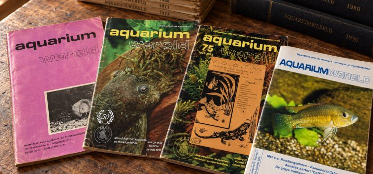 Vier nummers van Aquariumwereld uit 1977, 1997, 2022 en 2026 op een houten tafel, met erachter oudere nummers en ingebonden jaargangen.