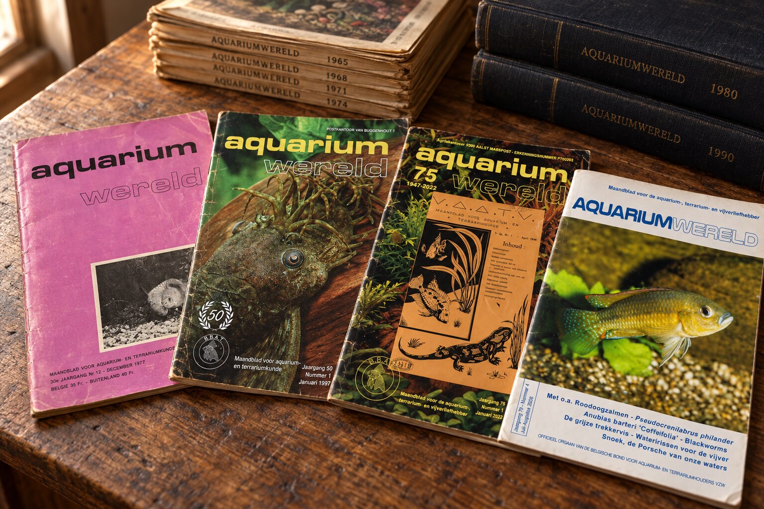 Vier nummers van Aquariumwereld uit 1977, 1997, 2022 en 2026 op een houten tafel, met erachter oudere nummers en ingebonden jaargangen.