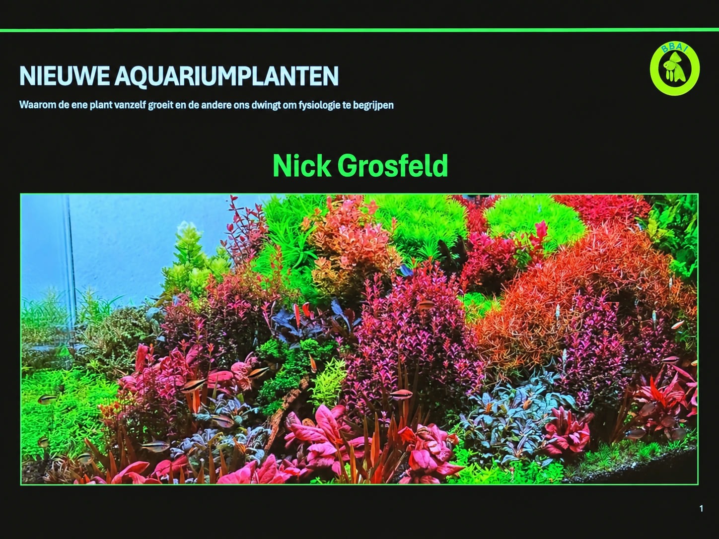 Nick Grosfeld: Nieuwe aquariumplanten