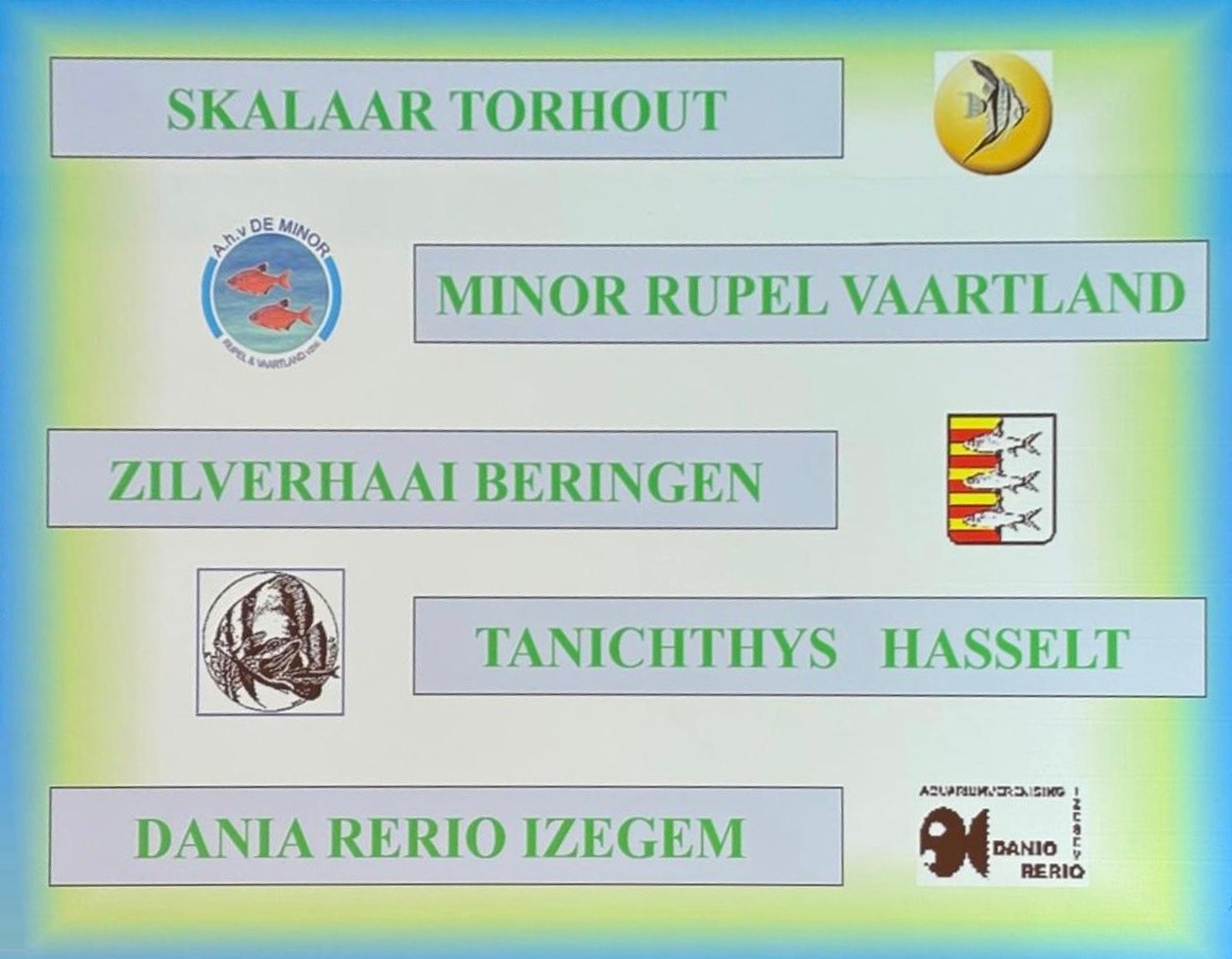 De vijf beste clubs van het jaar